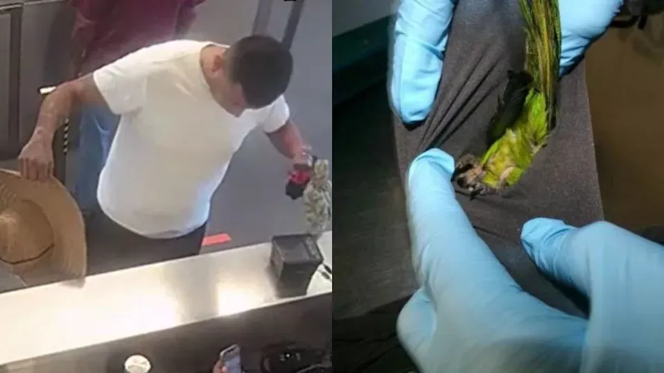 裤裆巨大惹疑！美男闯海关遭拦 内裤竟塞这个