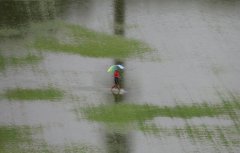 马来西亚暴雨酿洪灾 大水淹7州、逾1.1万人受灾