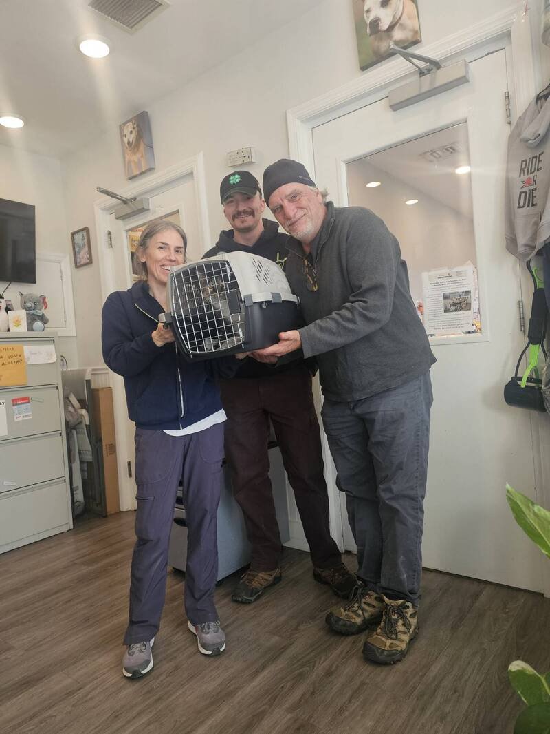 美国纽泽西州猫咪走失10年，如今靠著晶片回到饲主怀抱。（图撷自Montclair Township Animal Shelter脸书）