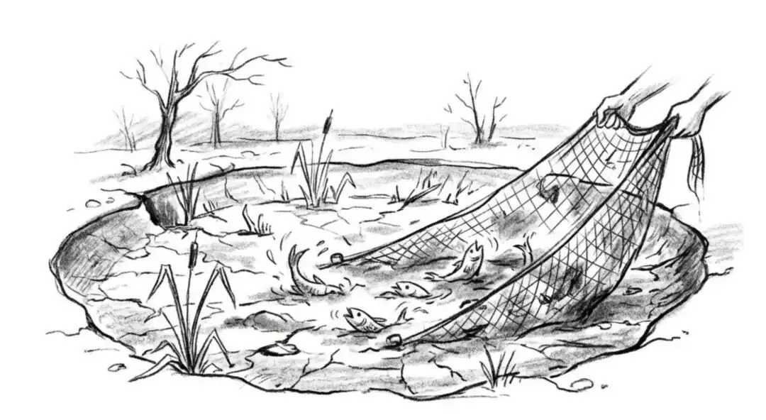 昏招迭出，账号被封，颜宁闺蜜亲手埋葬最后生机