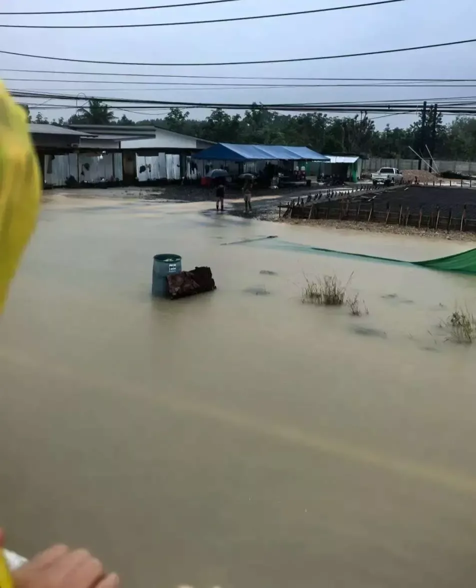 ▲廖小姐乘坐敞篷车 图据受访者