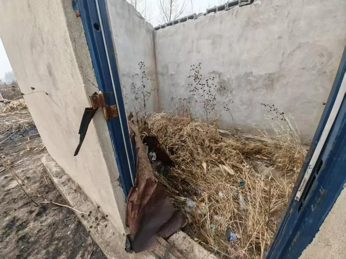 没有房盖的看护房里满是杂草垃圾（记者 刘强摄）