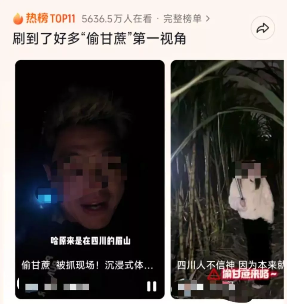 9.9元“偷甘蔗”爆火,人流量暴涨,老板亏出血