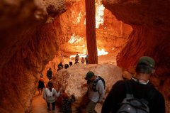 美国家公园落实「美国优先」外国游客门票将涨3倍!1家4口要1万4