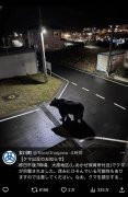 AI假熊! 日本宫城县女川町公告目击熊出没 后澄清为AI制图