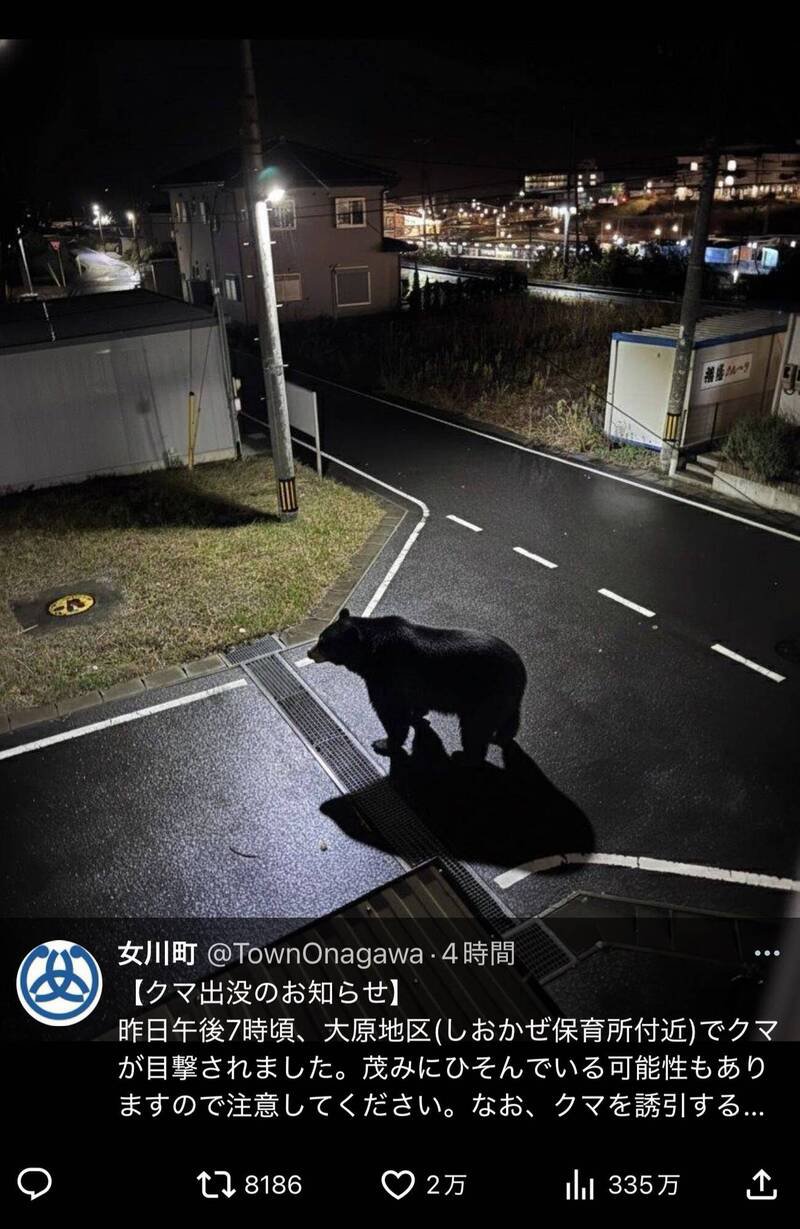 日本宫城县女川町发布一张熊出没的照片，随即澄清是AI造假，事实上并没有熊出没。（图撷取自@@k_maru_dau_baby社群平台「X」）