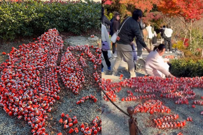 疑似中国女游客坚持破坏大阪胜尾寺旁的「台湾达摩阵」，完全不顾丈夫阻拦。（@cwsocool_/Threads授权提供）