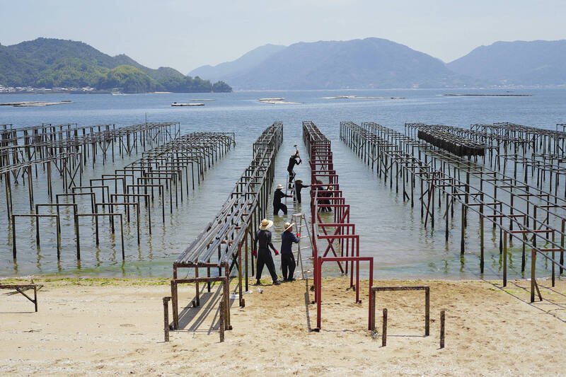 日本广岛似岛地区的牡蛎养殖场。（美联社）