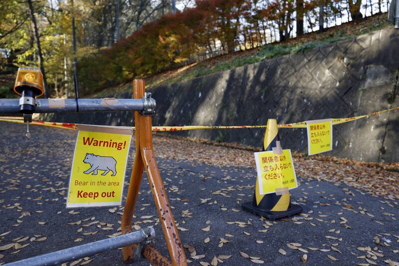 日本熊害严重，当局已增加补充预算，用于添购监测措施。（欧新社）