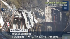 日本爱知县配电箱漏电2栋鸡舍遭祝融 10万只鸡命丧火海