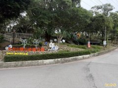 桃园夜景胜地大古山暗夜惊魂! 芦竹警迅速缉获偷拍狼