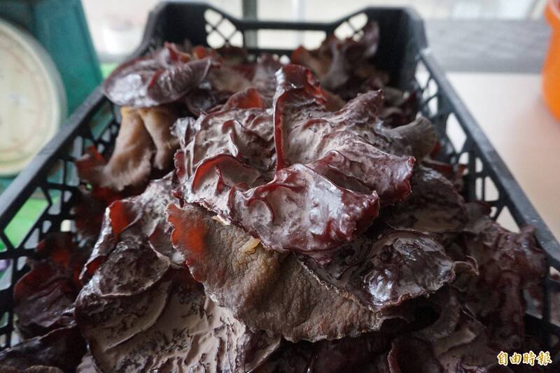 南韩食品医药安全处（食药处）近日发布紧急公告，指出市面流通的一款中国进口黑木耳，被检出残留农药「贝芬替」（Carbendazim）严重超标。由于该物质具备生殖毒性，恐对胎儿造成伤害，当局已下令立即停止销售并全面回收。（资料照）