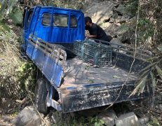 妇人驾车坠20公尺深山谷！ 嘉县警消民合力救援脱困