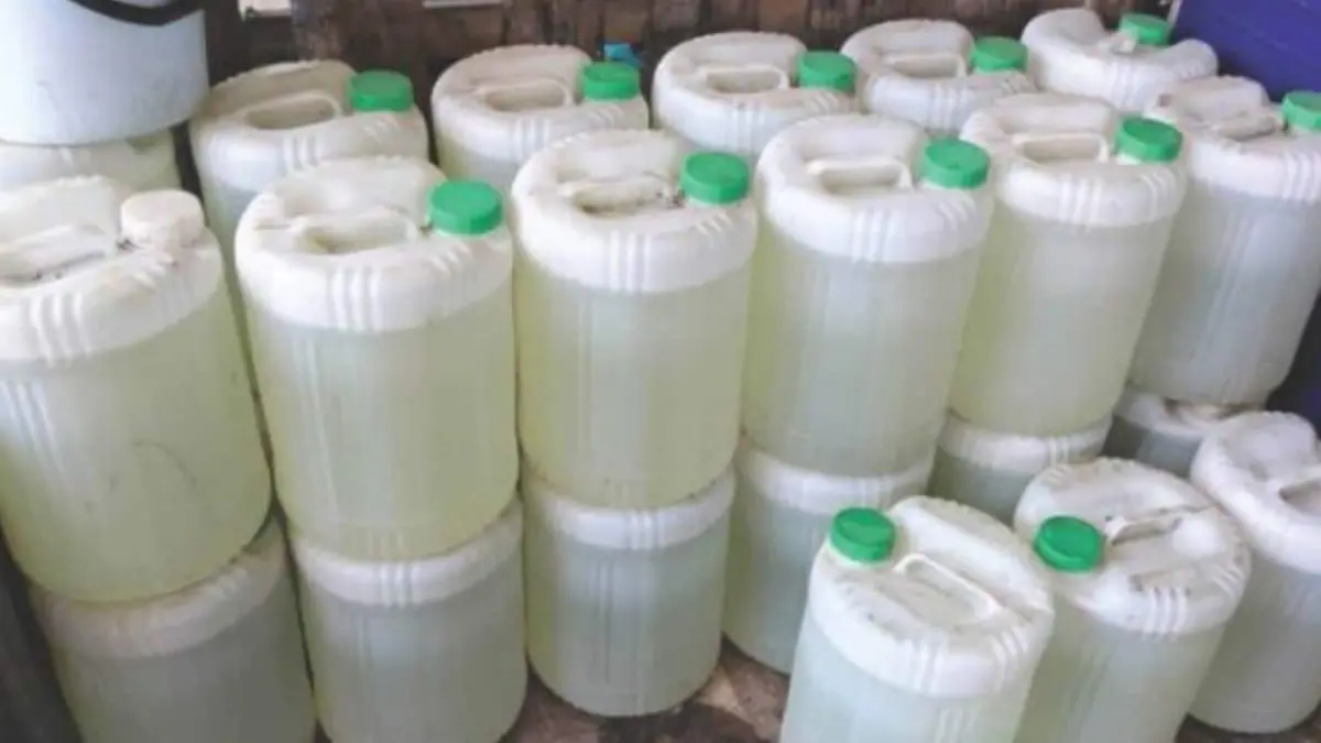 ▲泰国爆发假椰子水案,背后又有中国投资者作祟。 (图/翻摄自Matichon YouTube)