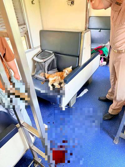 泰国有只猫咪，疑似因为搭车时间太久与热到，情绪突然失控咬伤饲主。（图取自脸书专页「Kijja Pongpisan」）