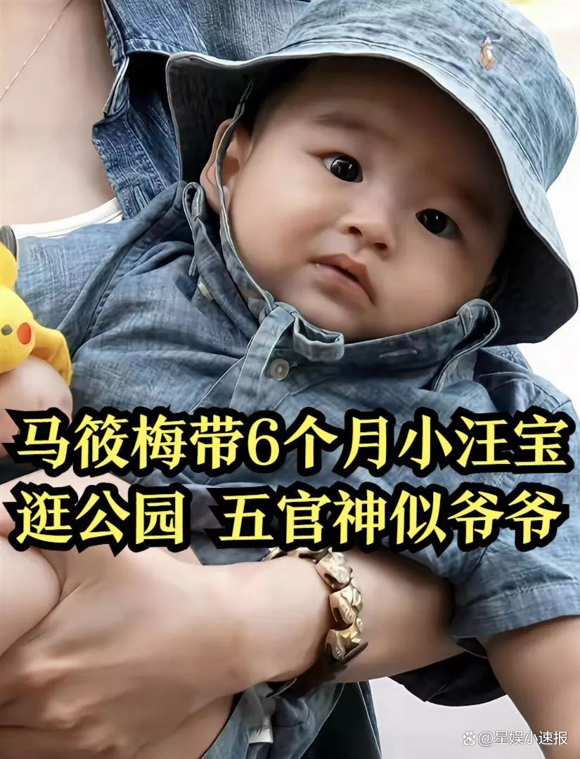 马筱梅带6个月小汪宝公园出游，胖嘟嘟十分可爱