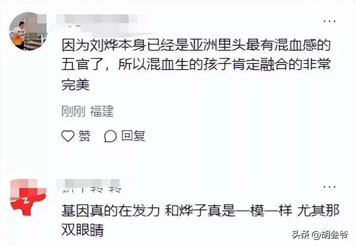 文章配图-3