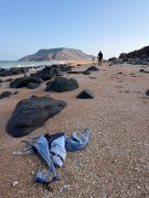 吉布地外海移民船翻覆增至139死 另84人失踪