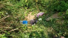 太热了？86岁翁疑猝死菜园